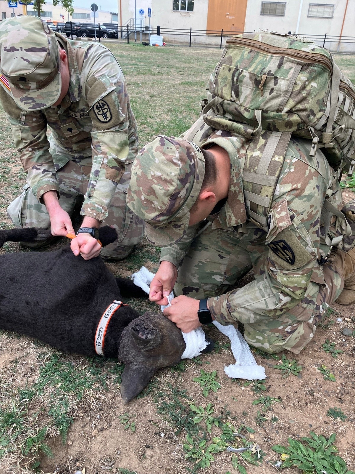 Wiesbaden Conducts Multi-Echelon MWD CASEVAC and K9TCCC Exercise