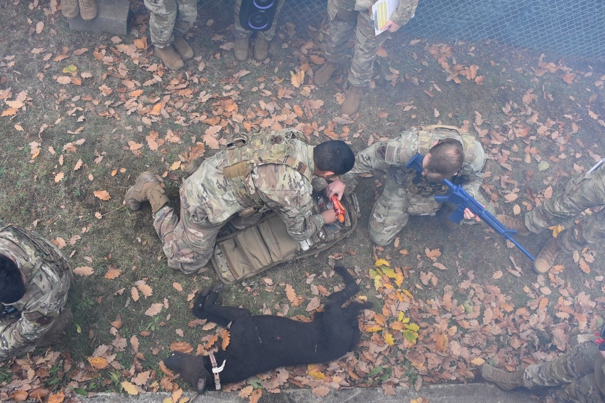 Veterinary Medical Center Europe trains handlers to save injured military working dogs