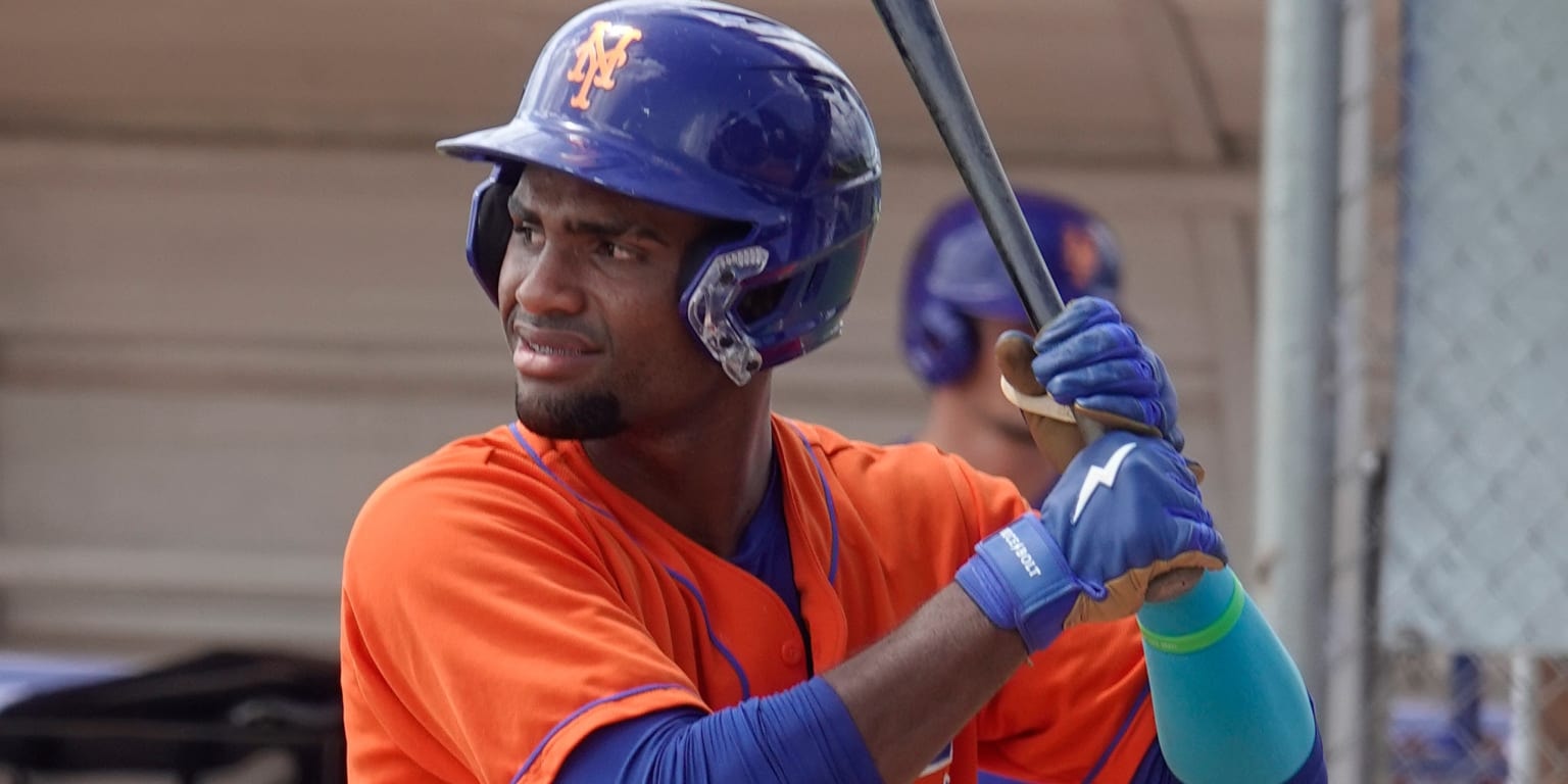 Mets No. 4 prospect Elian Peña delivers first multi-homer game to extend 12-game hit streak