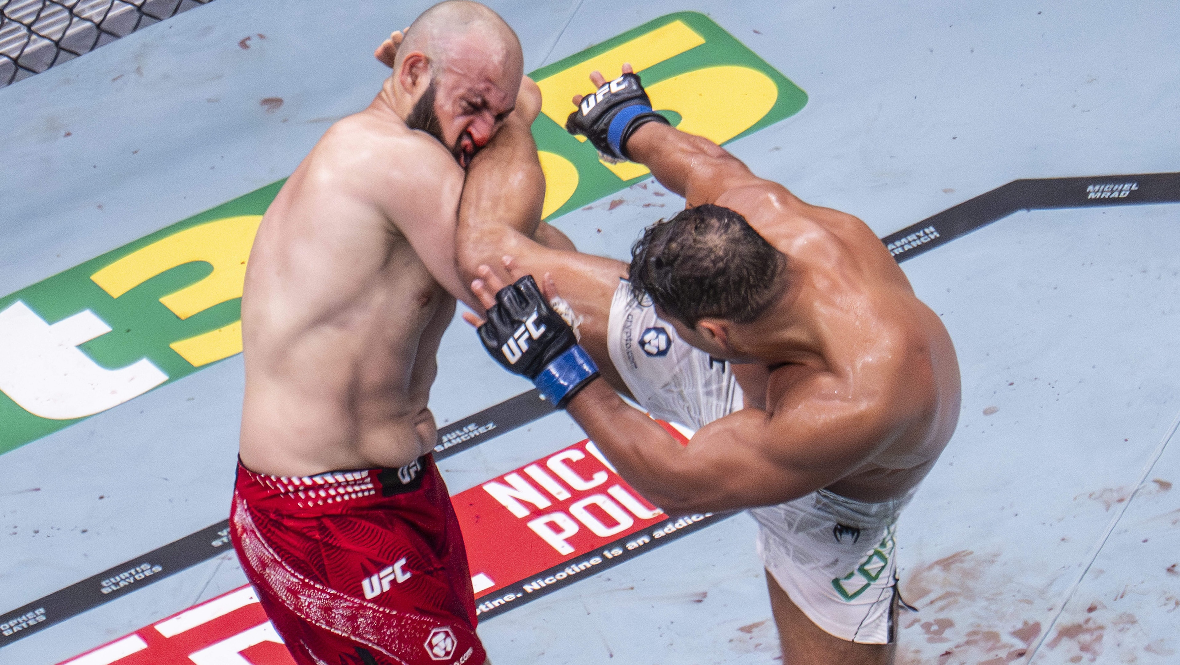 Paulo Costa provides an update as he continues seeking his next UFC fight