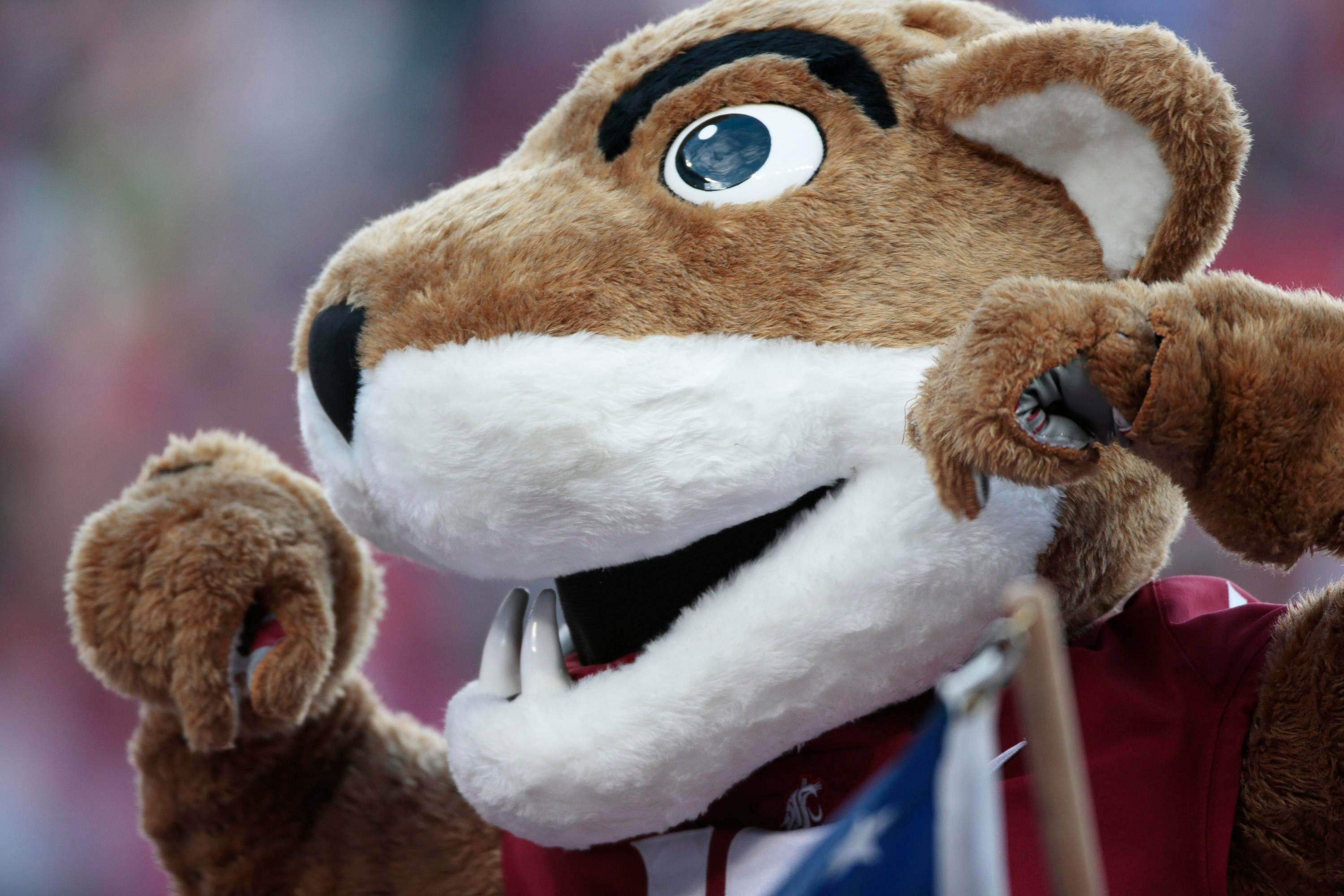 Opponent Preview: Kansas State set for Week 2 showdown with Washington State in Manhattan