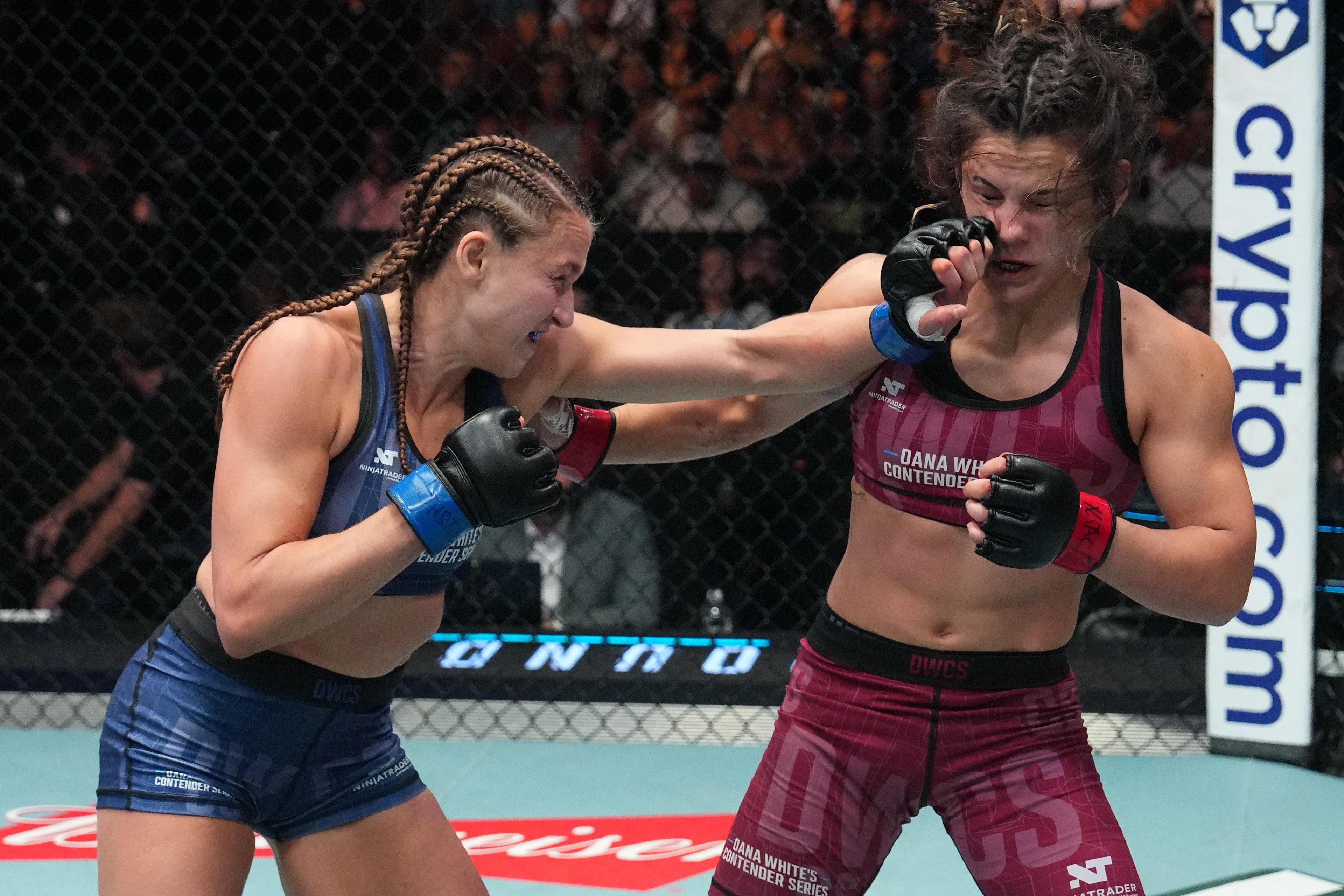 Bella Mir suffers a shocking setback on UFC Contender Series, with Alex Apodaca upset-making waves