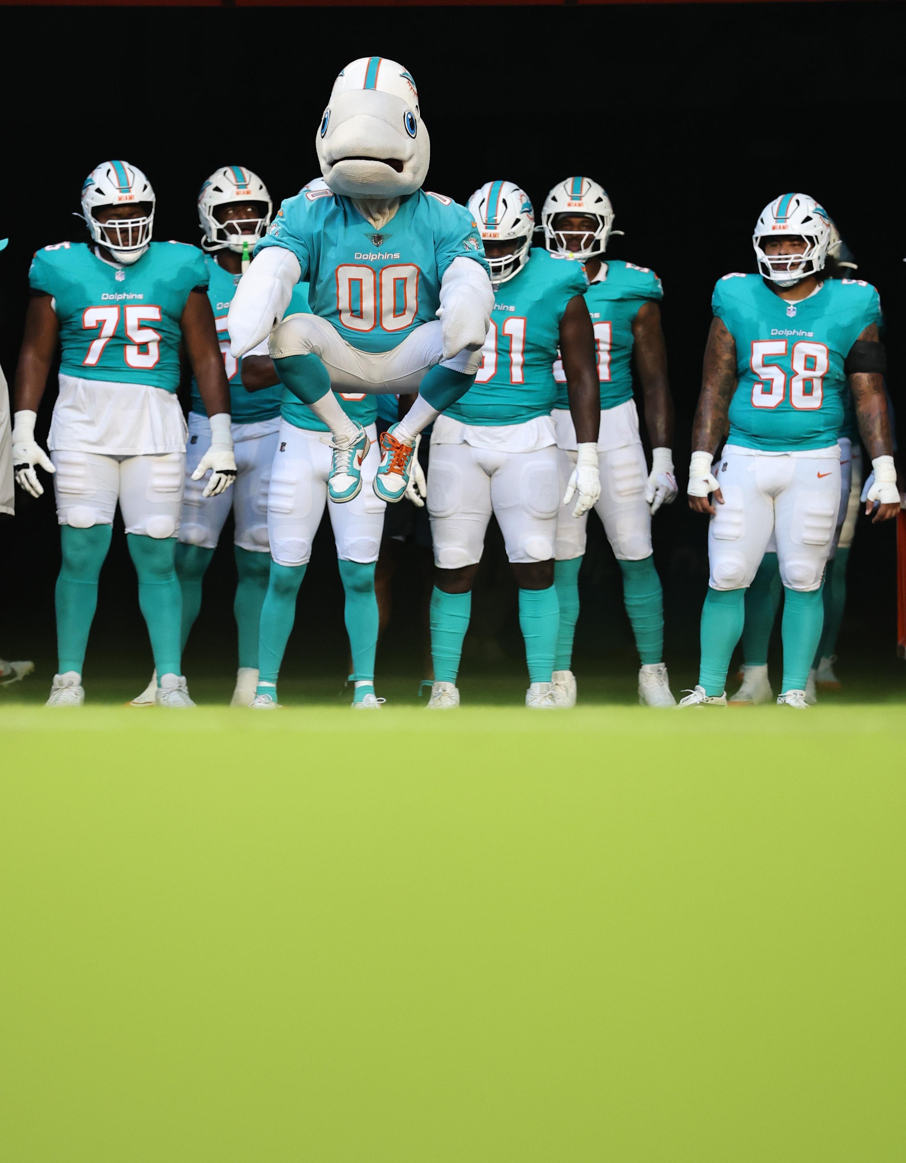 After Dolphins Camp, Fans Take a Shot at Predicting the Next “Household Name”