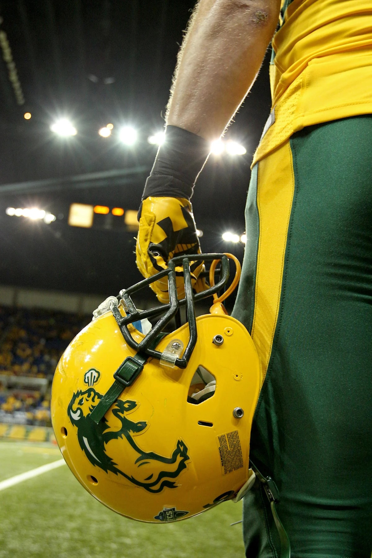 North Dakota State and Sacramento State join the FBS ranks, bringing two long-established programs into the Football Bowl Subdivision