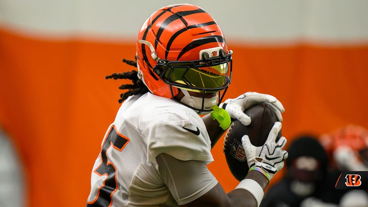 Day 10 of Bengals Training Camp spotlights defensive line leadership and Zac Taylor’s evaluation mindset